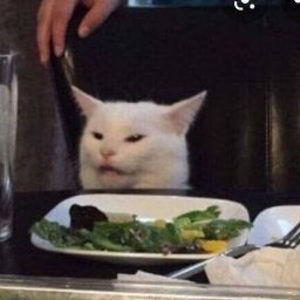 Meet your Posher, Aisha